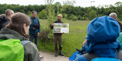 Heidespaziergang Heidespaziergang