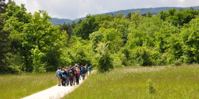 Heidespaziergang im Rahmen des «Festival der Natur» Heidespaziergang im Rahmen des «Festival der Natur»