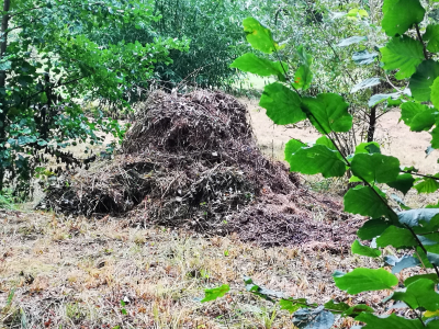 Zugepackt! Pflegearbeiten im Naturschutzgebiet Buechloch