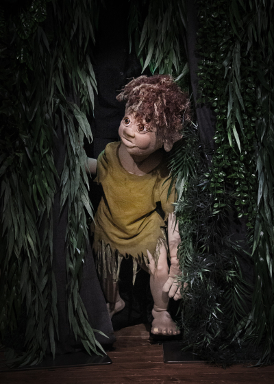 Muggli, dr Waldtroll