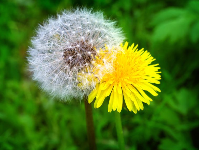 Trauernde sollten sich Zeit nehmen, um ihre Trauer zu leben. Foto: Adobe Stock