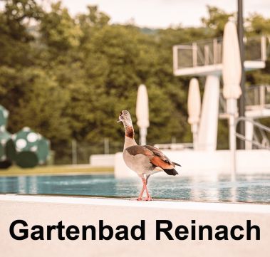 Gartenbad Reinach
